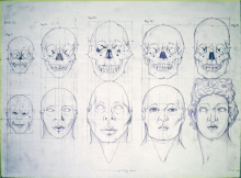 The History of Eugenics