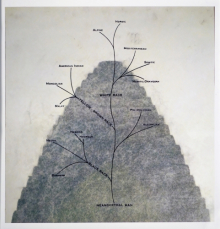 Tower of Babel: Tree of Racestitle goes here