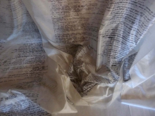 To Gloucester, with Love (alternate view)